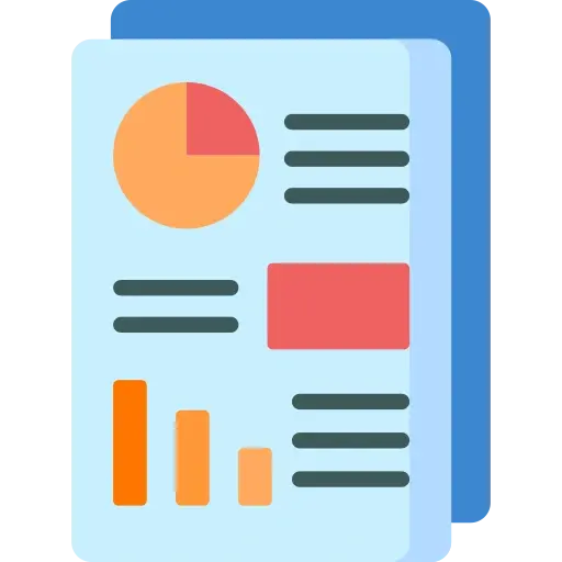 CIBIL Report
